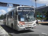 Borborema Imperial Transportes 903 na cidade de Recife, Pernambuco, Brasil, por Herbert Zils. Número da foto: #850660.