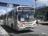 Borborema Imperial Transportes 903 na cidade de Recife, Pernambuco, Brasil, por Herbert Zils. ID da foto: :id.