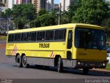 Viação Itapemirim 30199 na cidade de Ribeirão Preto, São Paulo, Brasil, por Fernando Reis. Número da foto: #850633.