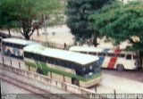 Pássaro Verde  na cidade de Ponte Nova, Minas Gerais, Brasil, por Wendell Coelho. Número da foto: #854663.