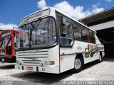 Viação Graciosa A100 na cidade de Curitiba, Paraná, Brasil, por Reginaldo Levinski da Silva. Número da foto: #857636.