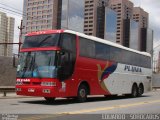 Pluma Conforto e Turismo 4918 na cidade de São Paulo, São Paulo, Brasil, por EDUARDO - SOROCABUS. Número da foto: #857390.