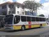 Rodoviária Metropolitana 819 na cidade de Recife, Pernambuco, Brasil, por Herbert Zils. Número da foto: #864826.