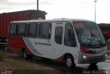 Rouxinol 878 na cidade de Belo Horizonte, Minas Gerais, Brasil, por Adão Raimundo Marcelino. Número da foto: #865651.