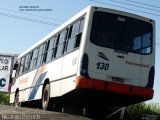 Viação Tamandaré 130 na cidade de Campos dos Goytacazes, Rio de Janeiro, Brasil, por Ricardo Peruch. Número da foto: #:id.