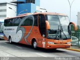 Viação São Raphael 8000 na cidade de São Paulo, São Paulo, Brasil, por Paulo Ricardo. Número da foto: #867550.