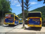 Auto Viação Reginas RJ 110.263 na cidade de Guapimirim, Rio de Janeiro, Brasil, por Renan Vieira. Número da foto: #874021.