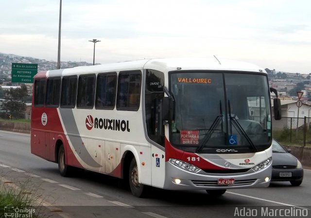 Rouxinol 181 na cidade de Belo Horizonte, Minas Gerais, Brasil, por Adão Raimundo Marcelino. ID da foto: 877080.