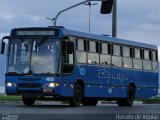Biguaçu Transportes Coletivos Administração e Participação 413 na cidade de Florianópolis, Santa Catarina, Brasil, por Renato de Aguiar. Número da foto: #875286.