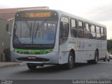 Auto Viação Beira Rio 10060 na cidade de Piracicaba, São Paulo, Brasil, por Gabriel Ramos Gomes. Número da foto: #875201.
