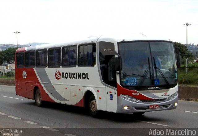 Rouxinol 120 na cidade de Belo Horizonte, Minas Gerais, Brasil, por Adão Raimundo Marcelino. Número da foto: #879368.