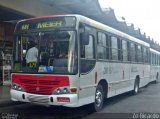 Rio Rotas Transporte e Turismo D81137 na cidade de Rio de Janeiro, Rio de Janeiro, Brasil, por Zé Ricardo Reis. Número da foto: #:id.