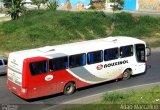 Rouxinol 290 na cidade de Belo Horizonte, Minas Gerais, Brasil, por Adão Raimundo Marcelino. Número da foto: #881511.