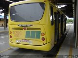 Gidion Transporte e Turismo 10508 na cidade de Joinville, Santa Catarina, Brasil, por Herbert Zils. Número da foto: #882460.