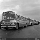 TCB - Sociedade de Transportes Coletivos de Brasília 031 na cidade de Brasília, Distrito Federal, Brasil, por Clébio Júnior. Número da foto: #831986.
