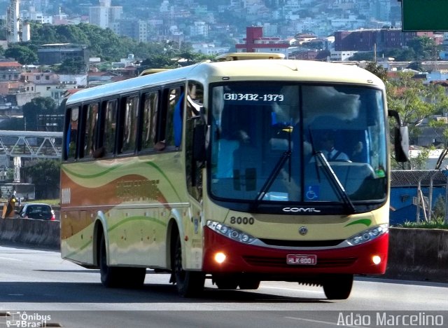 Viação Pássaro Livre 8000 na cidade de Belo Horizonte, Minas Gerais, Brasil, por Adão Raimundo Marcelino. ID da foto: 834629.