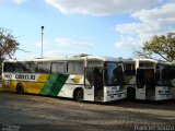 Empresa Gontijo de Transportes 9120 na cidade de Belo Horizonte, Minas Gerais, Brasil, por Franciel Souza. Número da foto: #834510.