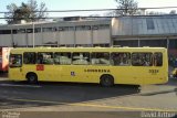 TCGL - Transportes Coletivos Grande Londrina 3321 na cidade de Londrina, Paraná, Brasil, por David Arthur. Número da foto: #833305.