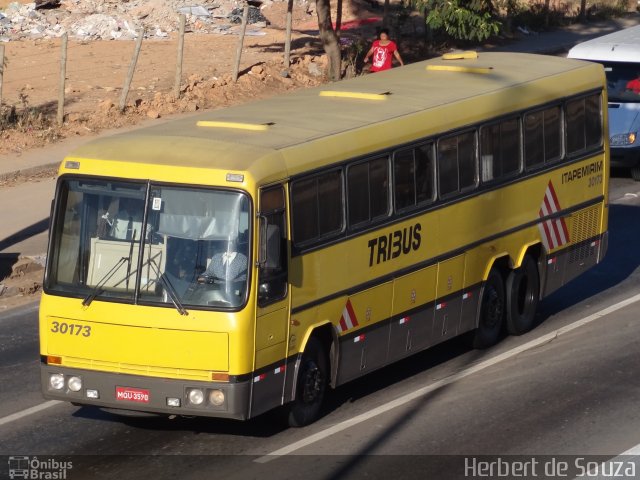 Viação Itapemirim 30173 na cidade de Belo Horizonte, Minas Gerais, Brasil, por Herbert de Souza. ID da foto: 837622.