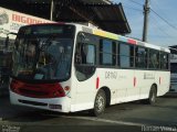 Rio Rotas Transporte e Turismo D81162 na cidade de Rio de Janeiro, Rio de Janeiro, Brasil, por Renan Vieira. Número da foto: #840389.