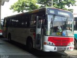 Rio Rotas Transporte e Turismo D81133 na cidade de Rio de Janeiro, Rio de Janeiro, Brasil, por Renan Vieira. Número da foto: #840395.