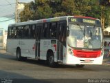 Rio Rotas Transporte e Turismo D81101 na cidade de Rio de Janeiro, Rio de Janeiro, Brasil, por Renan Vieira. Número da foto: #840375.