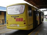 Gidion Transporte e Turismo 10011 na cidade de Joinville, Santa Catarina, Brasil, por Herbert Zils. Número da foto: #884440.