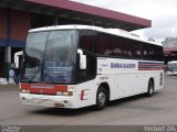 Expresso Embaixador 393 na cidade de Porto Alegre, Rio Grande do Sul, Brasil, por Herbert Zils. Número da foto: #907258.
