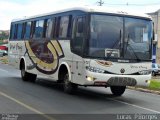 Vera Cruz Transporte e Turismo 1410 na cidade de Araxá, Minas Gerais, Brasil, por Lucas Borges . Número da foto: #910654.