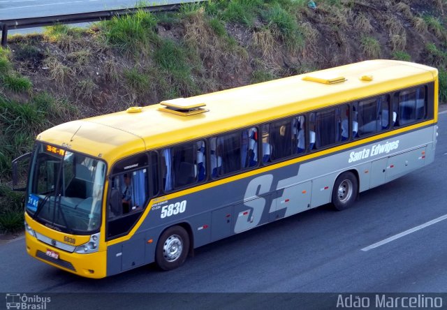 Viação Santa Edwiges 5830 na cidade de Belo Horizonte, Minas Gerais, Brasil, por Adão Raimundo Marcelino. Número da foto: #913595.