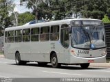 Araucária Transportes Coletivos LL028 na cidade de Curitiba, Paraná, Brasil, por Reginaldo Levinski da Silva. ID da foto: :id.