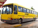 Viação Itapemirim 41037 na cidade de Perdões, Minas Gerais, Brasil, por Andrey Gustavo. Número da foto: #914961.