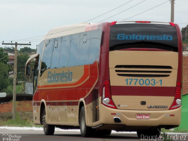 Auto Viação Goianésia 177003-1 na cidade de Trindade, Goiás, Brasil, por Douglas Andrez. Número da foto: #918760.