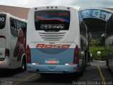 Rosa Turismo 9008 na cidade de Aparecida, São Paulo, Brasil, por Rogério Teixeira Varadi. Número da foto: #885873.
