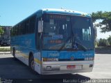 Viação Nossa Senhora do Amparo RJ 186.253 na cidade de Niterói, Rio de Janeiro, Brasil, por Marcelo Candido de Oliveira. Número da foto: #886723.