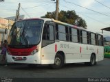 Rio Rotas Transporte e Turismo D81019 na cidade de Rio de Janeiro, Rio de Janeiro, Brasil, por Renan Vieira. Número da foto: #887177.