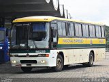 Nacional Expresso 56233 na cidade de Uberlândia, Minas Gerais, Brasil, por Lucas Borges . Número da foto: #923302.