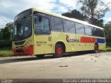 Coesa Transportes RJ 117.114 na cidade de Duque de Caxias, Rio de Janeiro, Brasil, por Marcelo Candido de Oliveira. Número da foto: #929523.