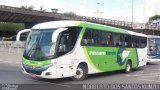 Pássaro Verde 11117 na cidade de Belo Horizonte, Minas Gerais, Brasil, por Norberto dos Santos Kunzli. Número da foto: #931714.