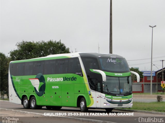 Pássaro Verde 12125 na cidade de Fazenda Rio Grande, Paraná, Brasil, por Paulo Roberto Chulis. Número da foto: #932878.