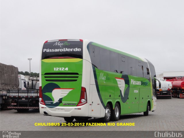 Pássaro Verde 12124 na cidade de Fazenda Rio Grande, Paraná, Brasil, por Paulo Roberto Chulis. Número da foto: #932874.