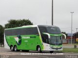 Pássaro Verde 12125 na cidade de Fazenda Rio Grande, Paraná, Brasil, por Paulo Roberto Chulis. Número da foto: #932878.