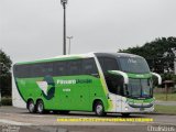 Pássaro Verde 12126 na cidade de Fazenda Rio Grande, Paraná, Brasil, por Paulo Roberto Chulis. Número da foto: #932881.