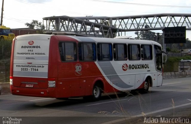Rouxinol 092 na cidade de Belo Horizonte, Minas Gerais, Brasil, por Adão Raimundo Marcelino. Número da foto: #941937.