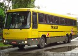 Viação Itapemirim 24203 na cidade de Vitória, Espírito Santo, Brasil, por Gilberto Martins. Número da foto: #889029.