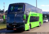 Diamond Bus Locação e Transportes 4200 na cidade de Belo Horizonte, Minas Gerais, Brasil, por Adão Raimundo Marcelino. Número da foto: #893922.