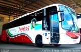 Helios Coletivos e Cargas 312 na cidade de Goiânia, Goiás, Brasil, por Carlos Júnior. Número da foto: #894223.