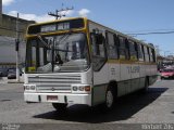 TURF - Transportes Urbanos Rurais Fragata 55 na cidade de Pelotas, Rio Grande do Sul, Brasil, por Herbert Zils. Número da foto: #892857.