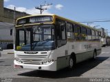 TURF - Transportes Urbanos Rurais Fragata 39 na cidade de Pelotas, Rio Grande do Sul, Brasil, por Herbert Zils. Número da foto: #892869.