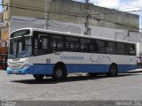 Viação Nossa Senhora Conquistadora 222 na cidade de Pelotas, Rio Grande do Sul, Brasil, por Herbert Zils. Número da foto: #892872.